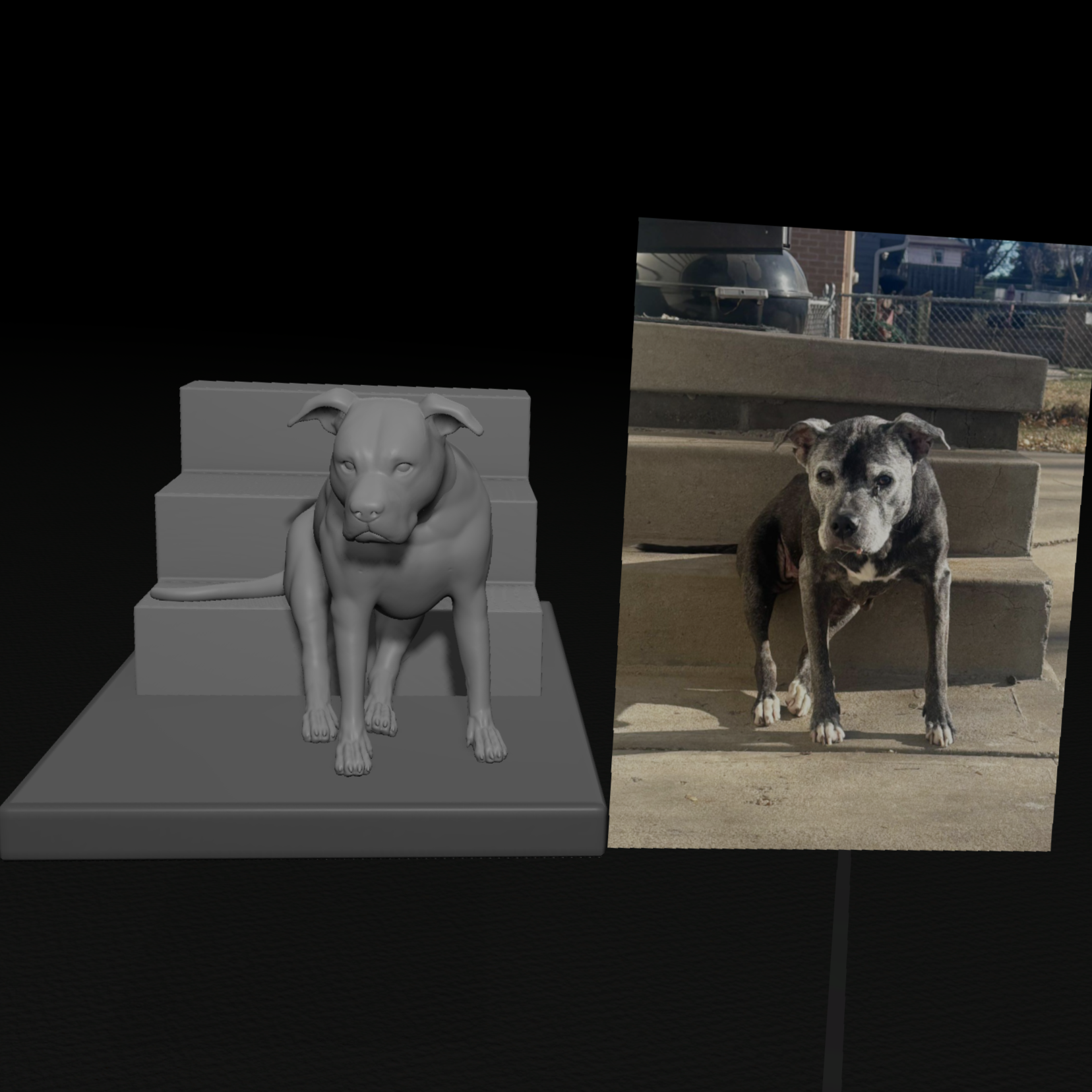3D-Design for pet