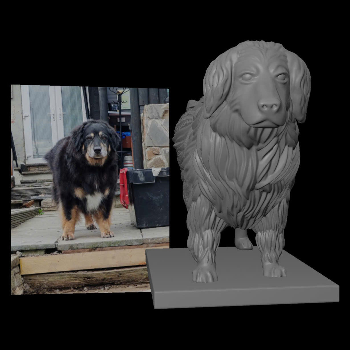3D-Design for pet