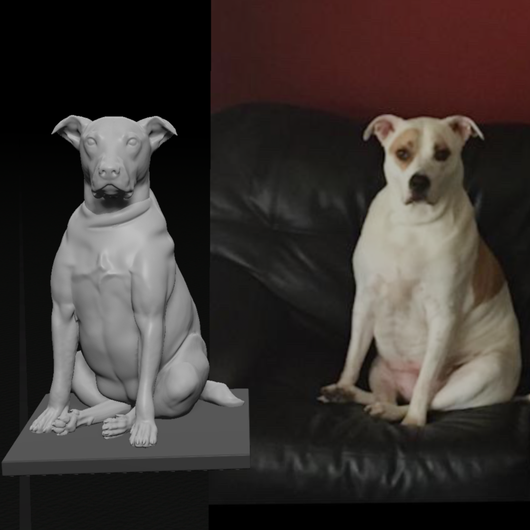 3D-Design for pet