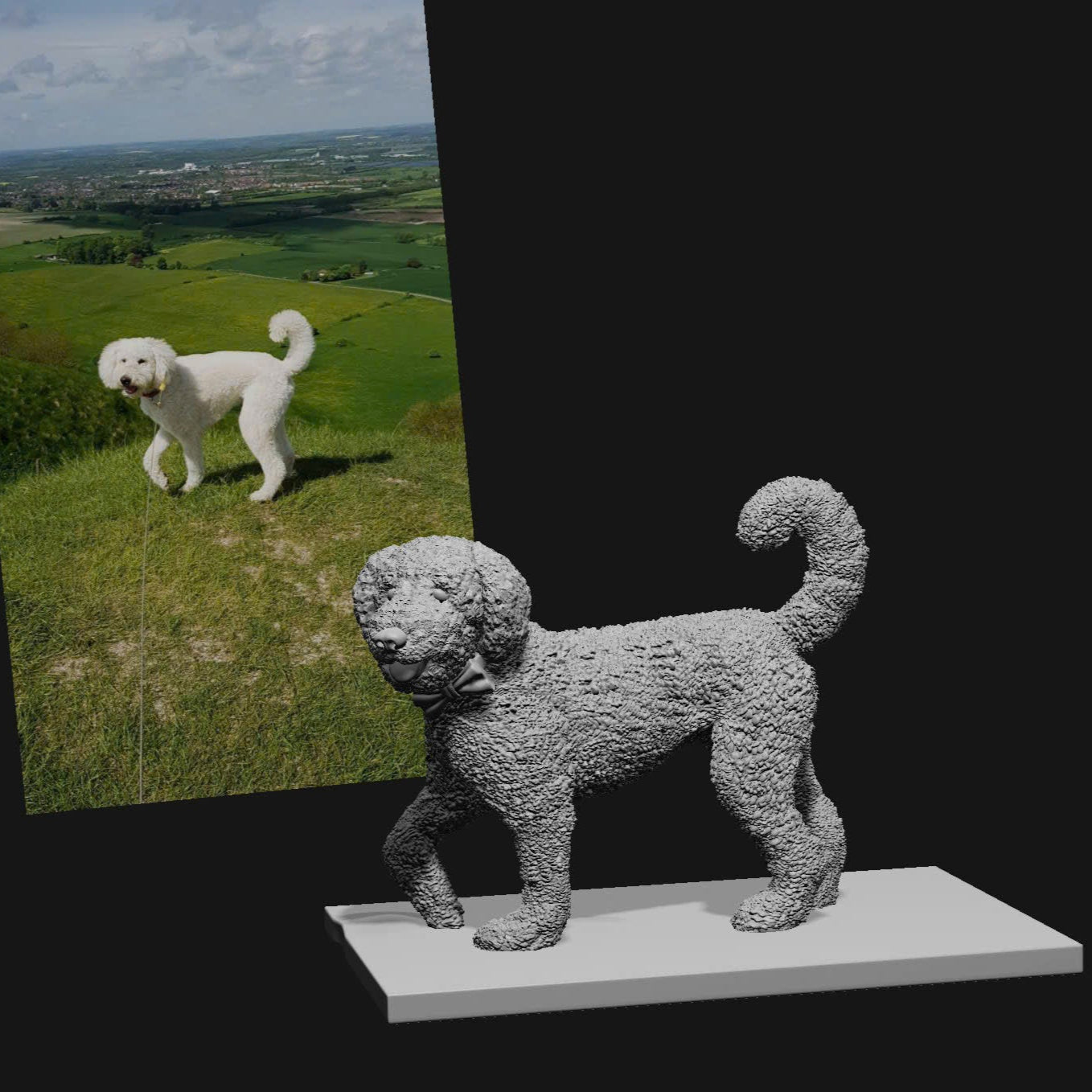 3D-Design for pet