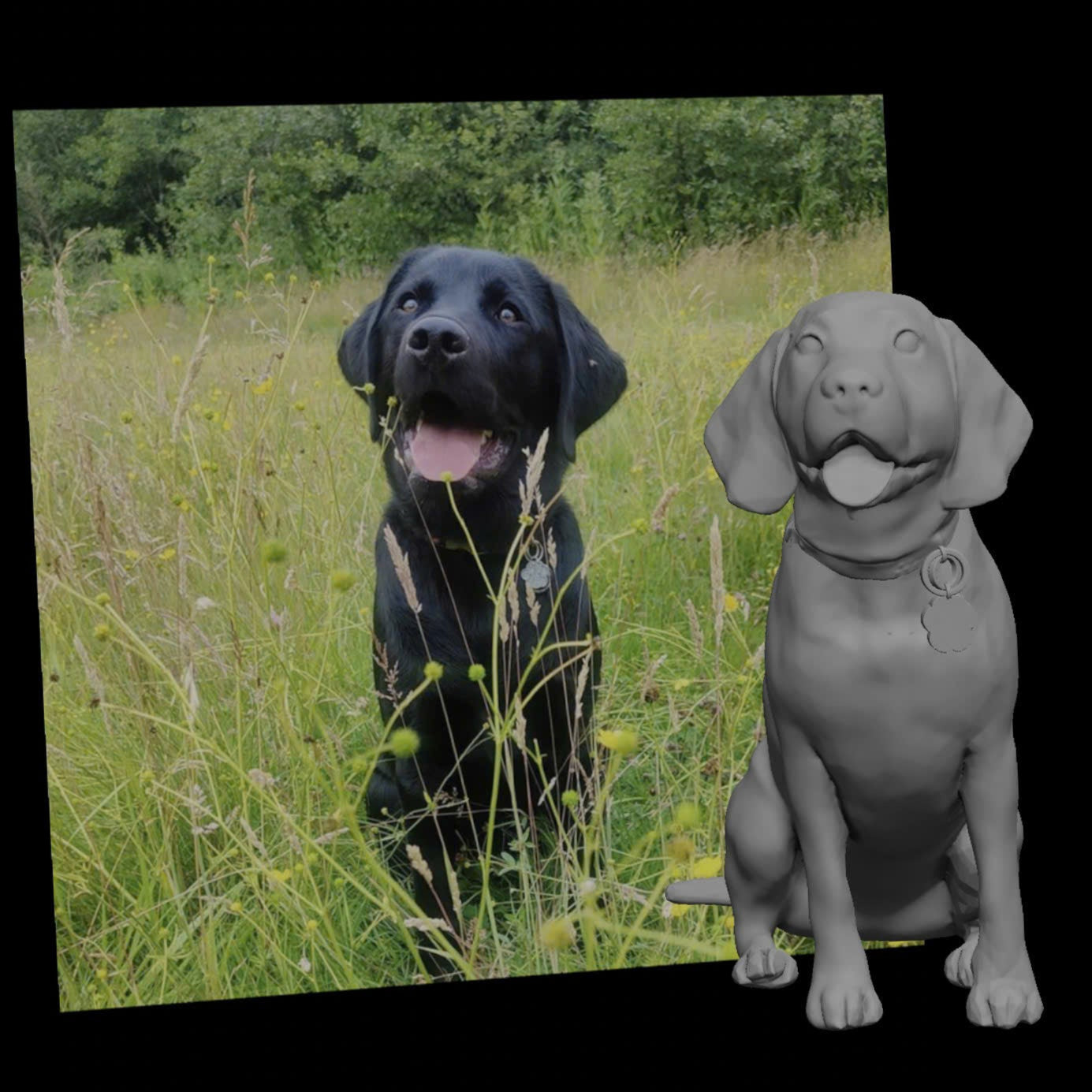 3D-Design for pet